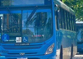 Foto: Divulgação.