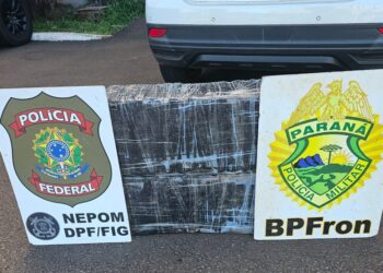 Droga estava escondida em área de mata próxima à Avenida Beira Rio. Foto: Polícia Federal