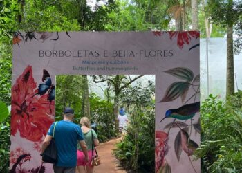 Foto: Parque das Aves.