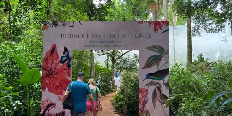 Foto: Parque das Aves.