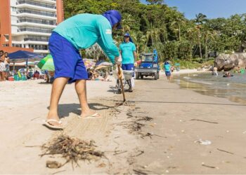 Operação mobilizou 181 trabalhadores e superou a média diária da temporada. Foto: Sanepar