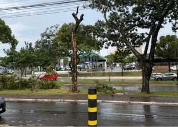Bairros das regiões Central e Leste foram os únicos com registro de chuva; equipes seguem nas ruas para limpeza urbana. Foto: defesa Civil.