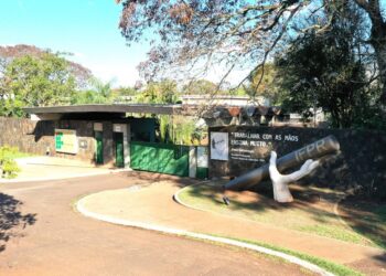 Cursos incluem graduação e formação técnica. IFPR