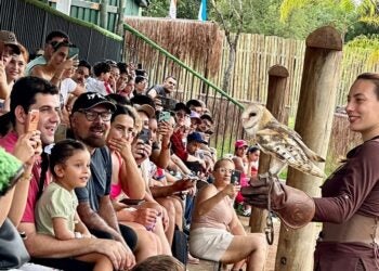 Visitantes aproveitam a imersão na Floresta dos Primatas após contribuírem com a causa solidária. Foto: Eco Park