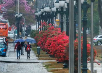 Defesa Civil alerta para risco de granizo e ventos fortes, especialmente nas regiões Oeste e Sudoeste do Paraná. Foto: José Fernando Ogura/Arquivo AEN