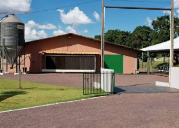 Novo aviário escola em Assis Chateaubriand tem 1.040 m² de área técnica. Foto: sistema Faep.