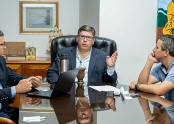 Foto: Divulgação.