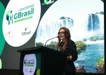 Foto: Acervo GBrasil.