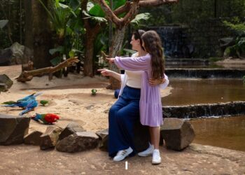 Ações especiais no borboletário ampliaram a sensibilização ambiental durante o mês de março. Foto: Parque das Aves.