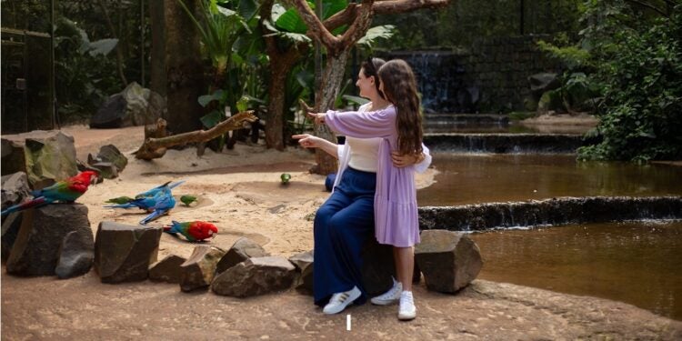 Ações especiais no borboletário ampliaram a sensibilização ambiental durante o mês de março. Foto: Parque das Aves.