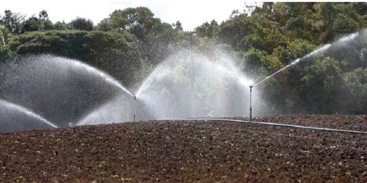 A outorga d’água garante que a captação para irrigação ocorra dentro dos limites legais e ambientais. Foto: Sistema Faep.