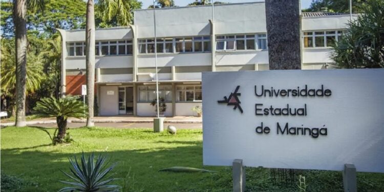 Provas objetivas e redação serão aplicadas na tarde de 12 de julho. Foto: UEM