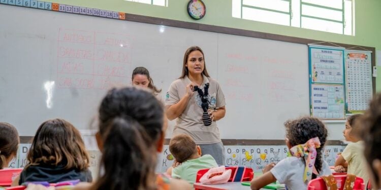 Foto: Divulgação.