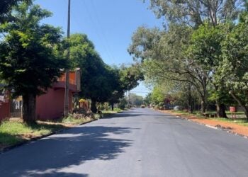 Foto: Divulgação.