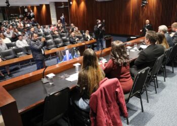 Evento destacou necessidade de políticas públicas contínuas. Créditos: Valdir Amaral/Alep