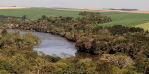 Produtores rurais ganham mais prazo para negociar multas ambientais no Paraná
