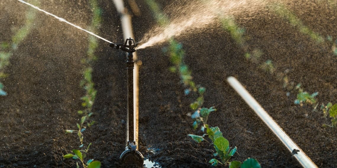 Paraná prorroga isenção de ICMS para produtos do agro até o fim de 2026