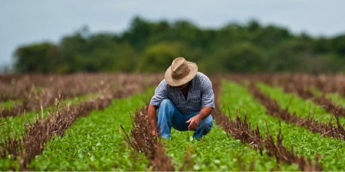 Sistema FAEP consegue prorrogação de regra ambiental no crédito rural