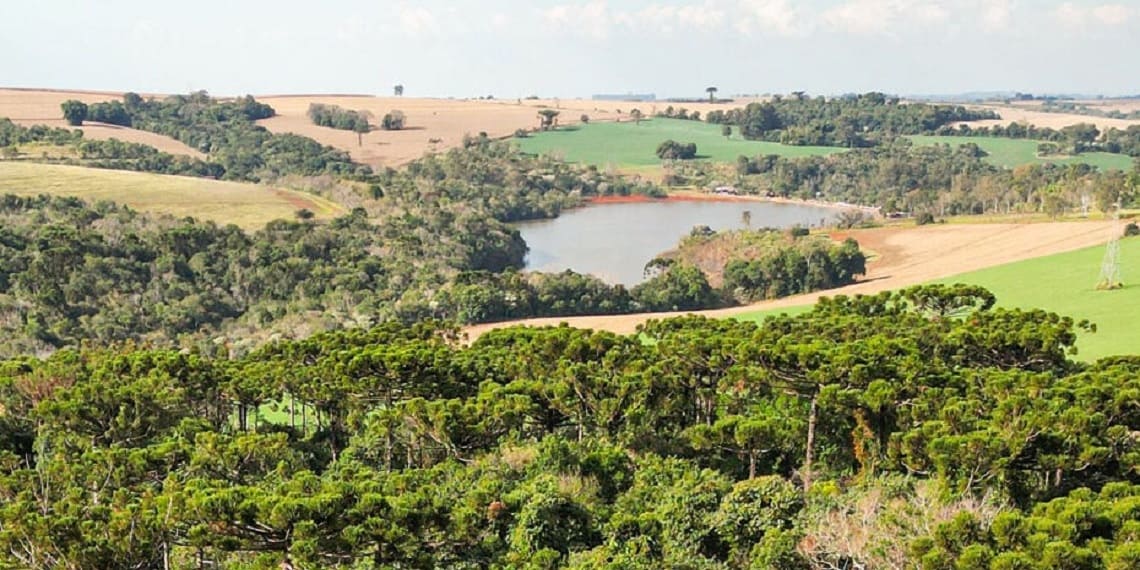 Projeto aprovado na Câmara busca limitar embargos automáticos contra produtores rurais
