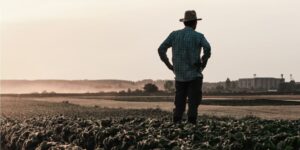 Seguro rural despenca no Paraná e produtores alertam para risco no campo