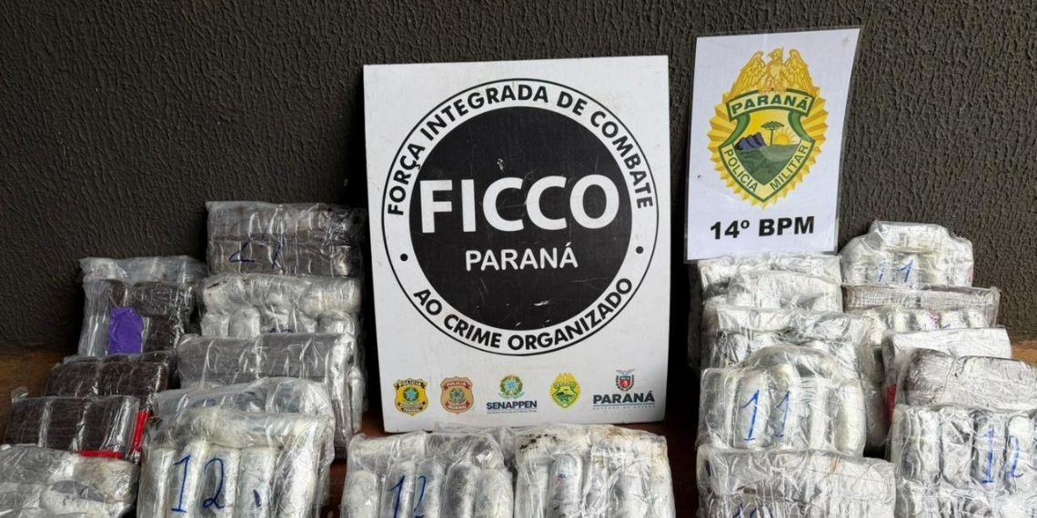FICCO/PR prende estrangeiro e apreende 33 kg de haxixe em Foz