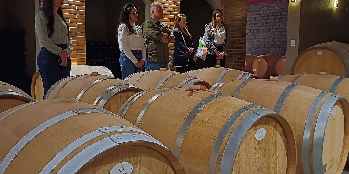 Vinícola do Paraná conquista ouro na França e fortalece enoturismo