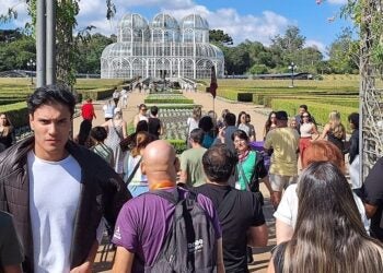 Passeio de trem pela Serra do Mar integra roteiro da experiência turística. Foto: Viaje Paraná