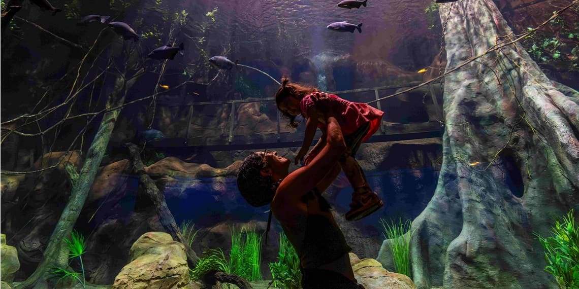 Junho Verde amplia acesso ao AquaFoz e à biodiversidade da fronteira