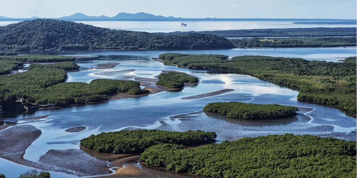 Mudanças climáticas colocam cidades do Paraná diante do desafio da adaptação