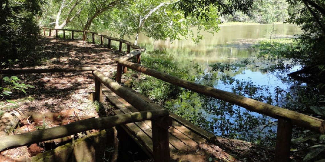 Parques preservam a história e a natureza do Paraná