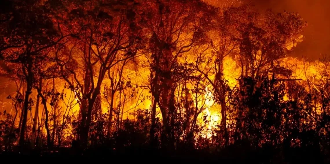 O futuro não virá sozinho: sustentabilidade e justiça social no Brasil