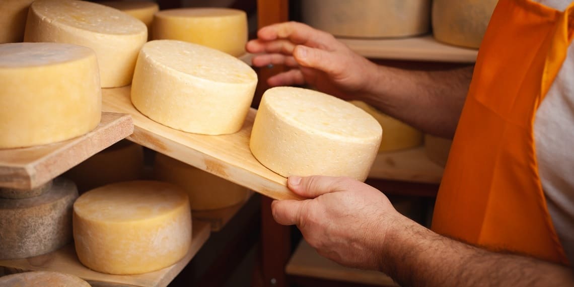 Prêmio Queijos do Paraná deve superar 600 produtos inscritos