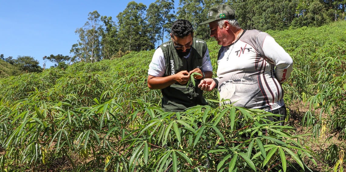 UEM e Sistema FAEP criam curso para formar técnicos do campo