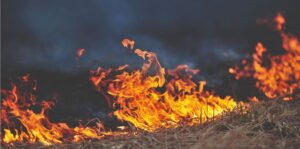 Seca aumenta risco de incêndios no campo