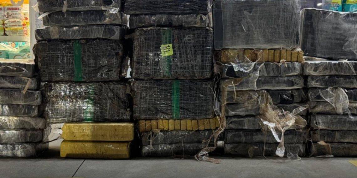 Ação integrada apreende quase 685 kg de maconha entre PR e SC