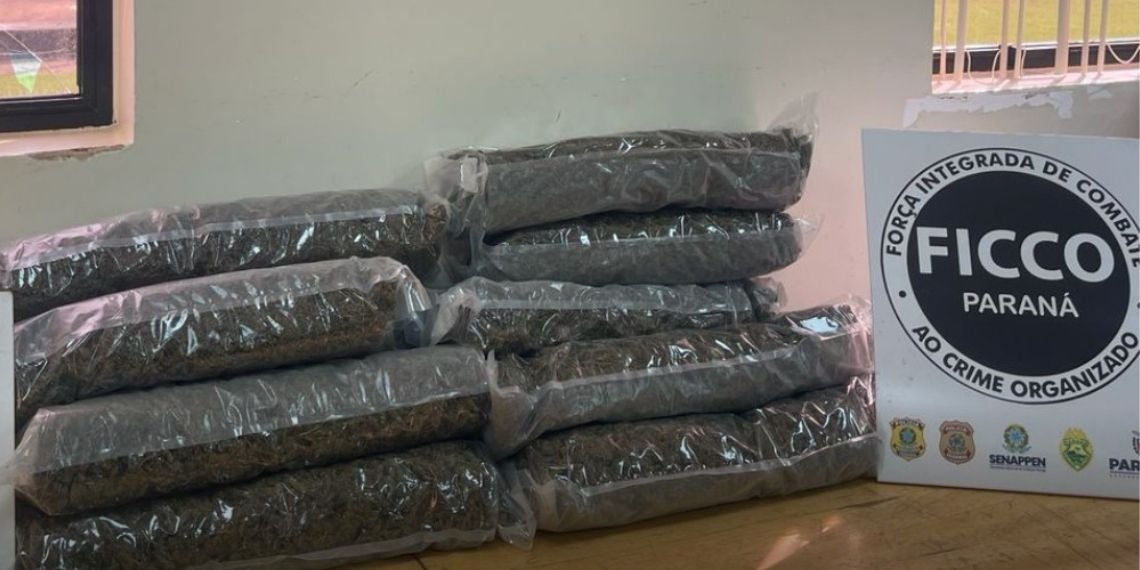 FICCO/PR apreende 14,8 kg de maconha em Foz do Iguaçu