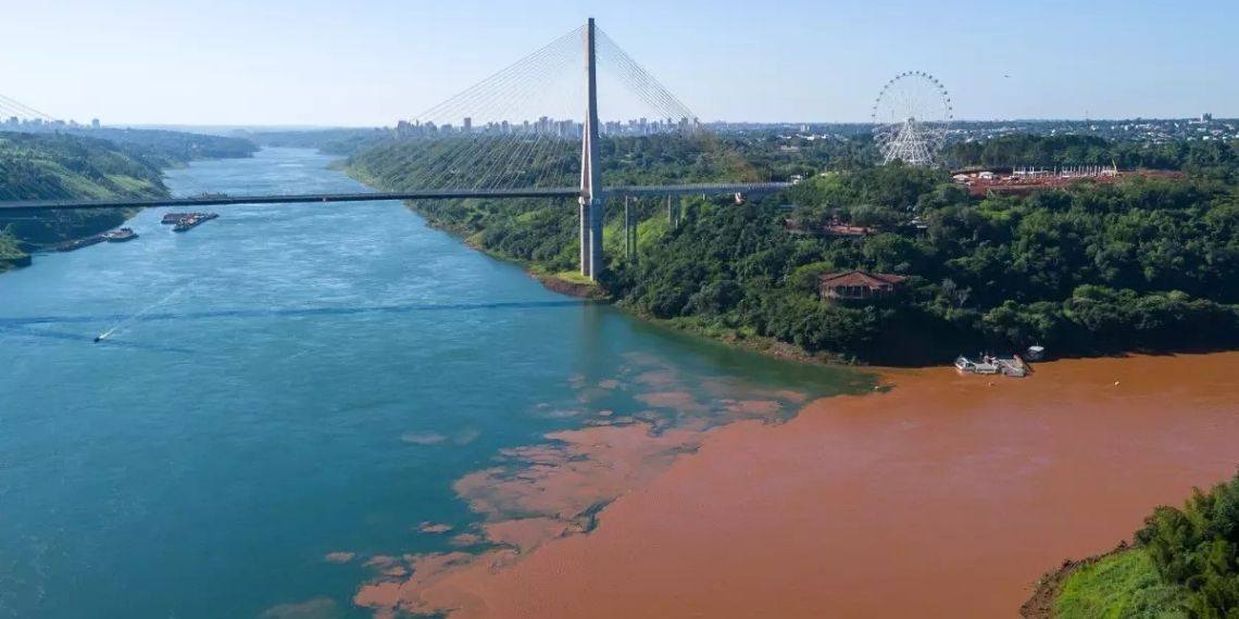 Dia do Meio Ambiente mobiliza limpeza do Rio Iguaçu