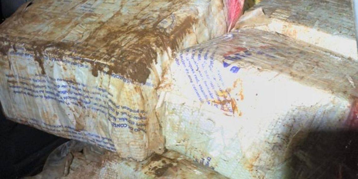 PF e PM apreendem 1,2 tonelada de maconha em Santa Helena