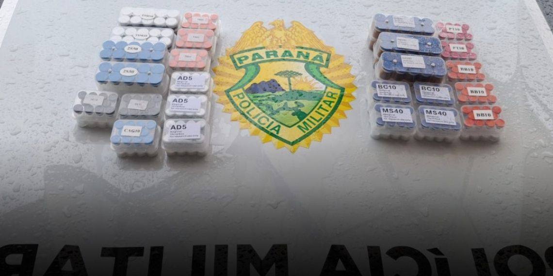 FICCO apreende 250 ampolas ilegais e prende homem no PR