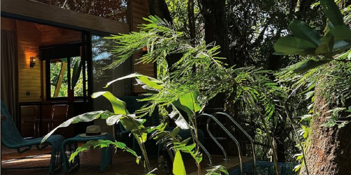 Selva Missioneira inspira mostra em Puerto Iguazú