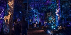 Inverno Curitiba 2026 tem programação para toda a família