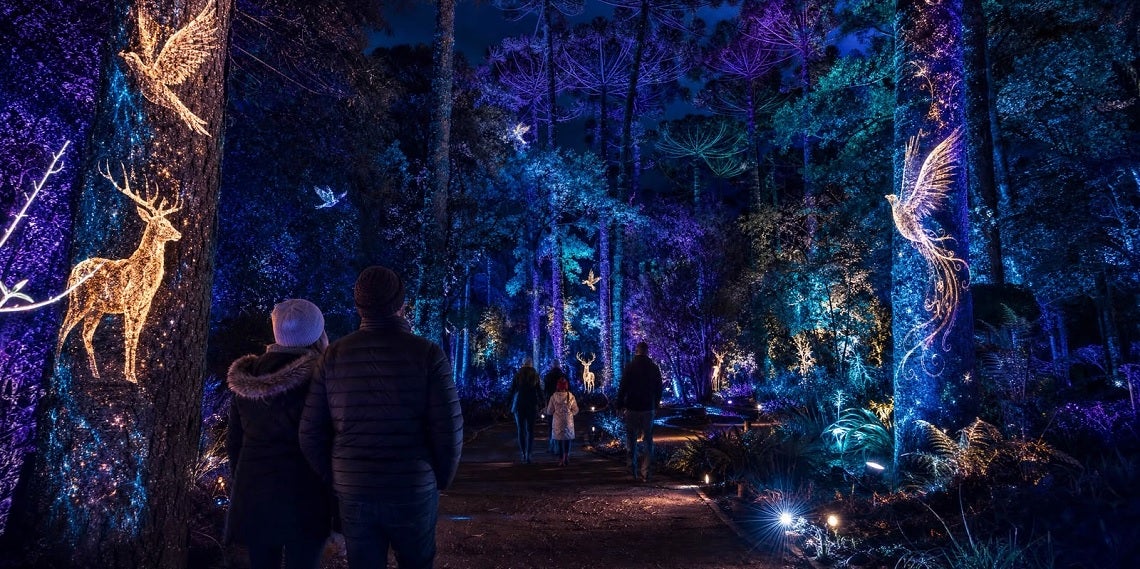 Inverno Curitiba 2026 tem programação para toda a família