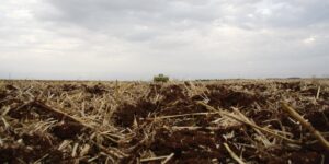 FAEP lança circuito de Dias de Campo sobre solo no Paraná
