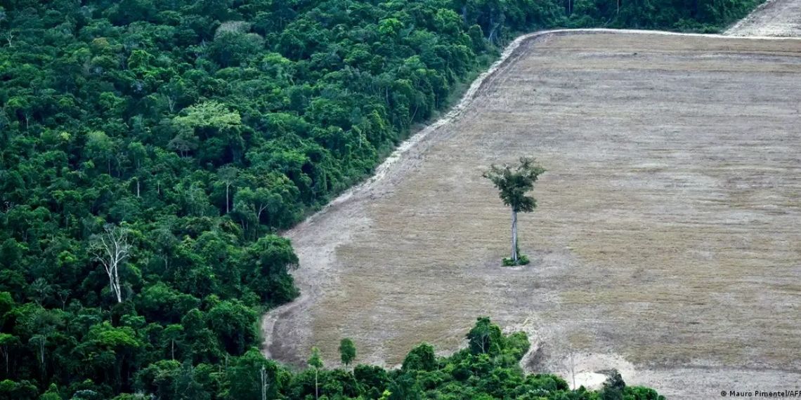 Planeta atinge limite de recursos naturais em 2026
