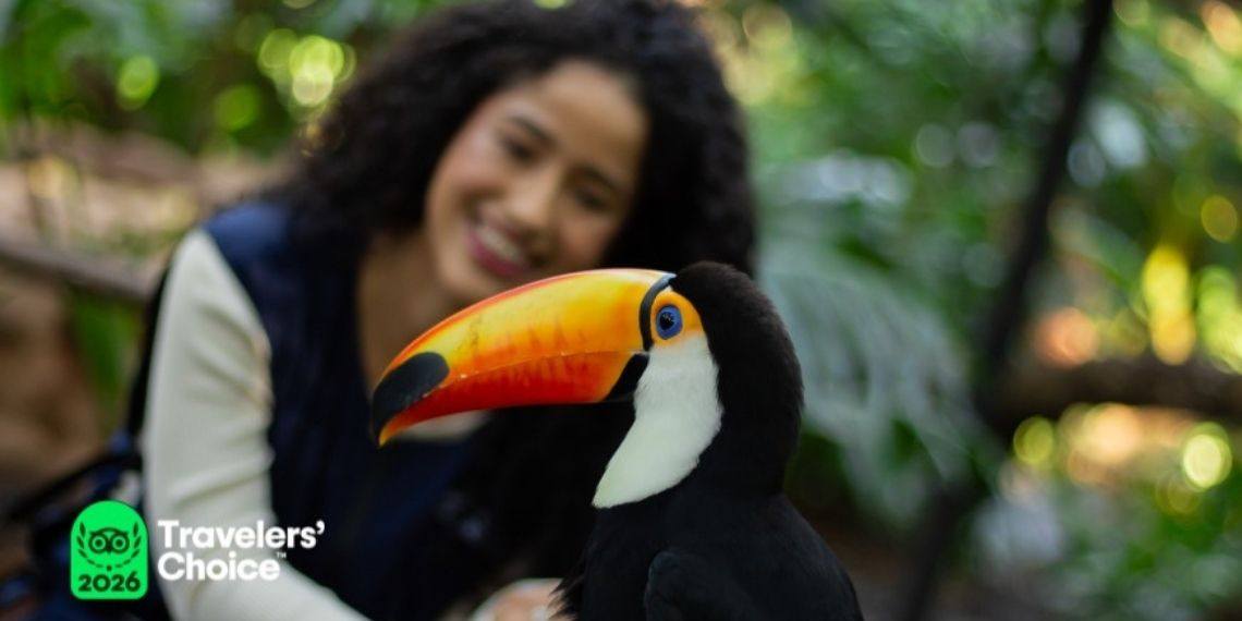 Parque das Aves recebe selo Travellers’ Choice 2026
