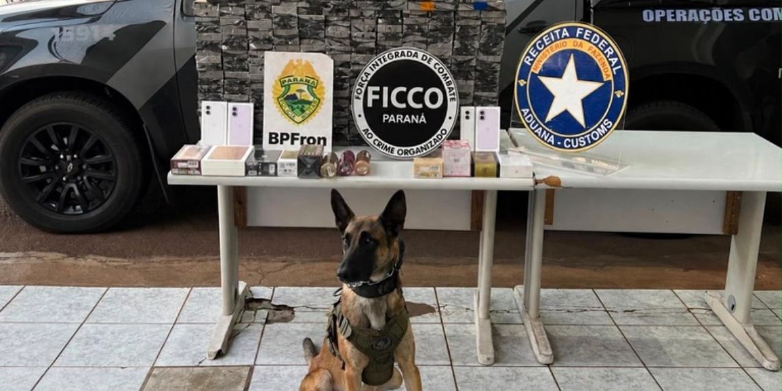 FICCO/PR apreende 383 celulares irregulares em Cascavel