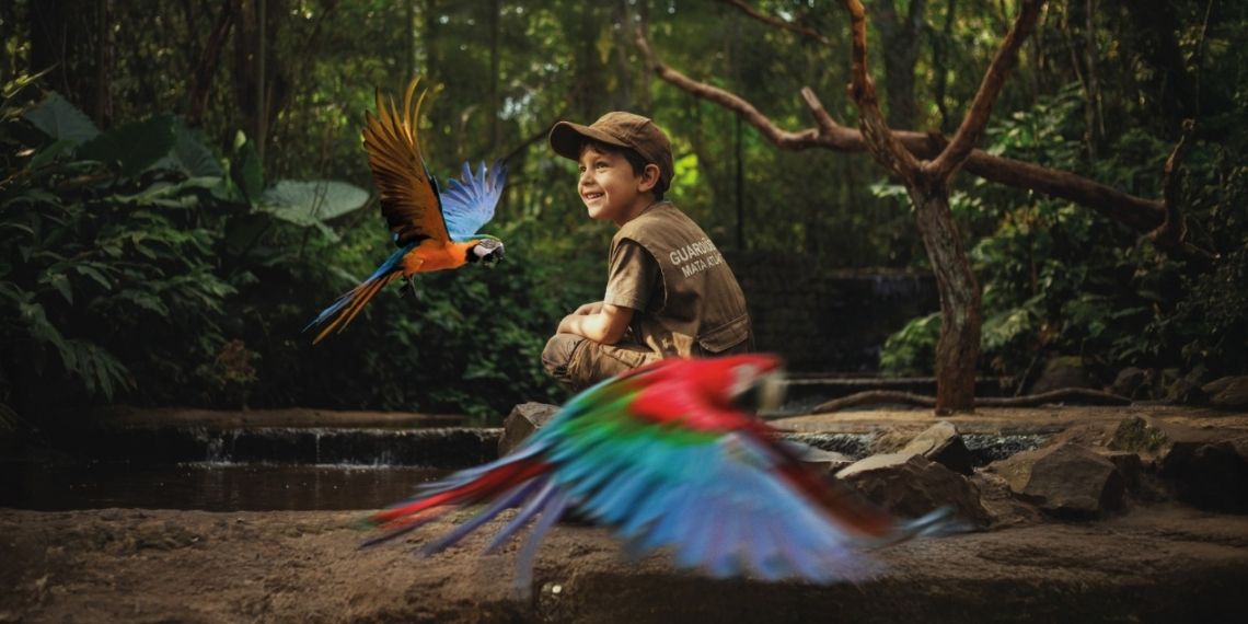 Parque das Aves promove nova edição de programa infantil sobre conservação