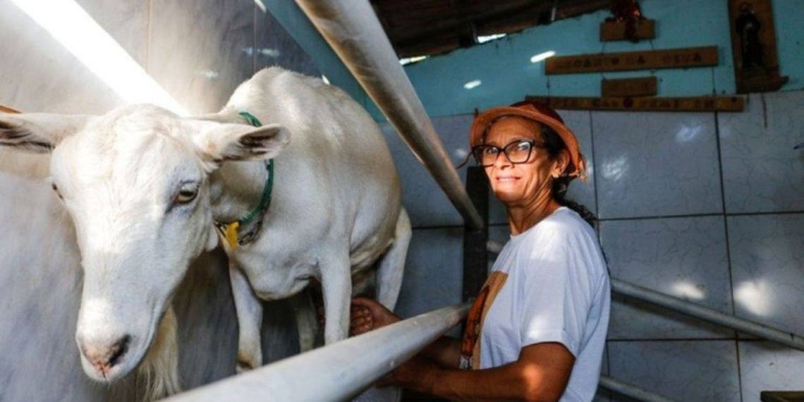 PAA Leite beneficia mais de 10 mil agricultores familiares