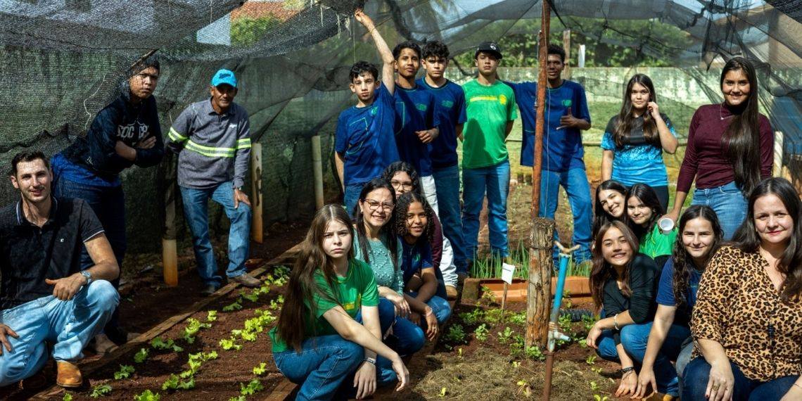 Mais de 250 municípios do PR e MS recebem hortas comunitárias