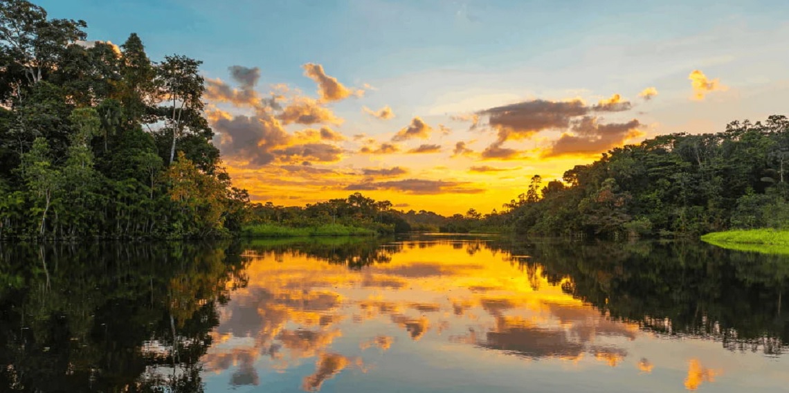 Alertas de desmatamento na Amazônia caem 36%